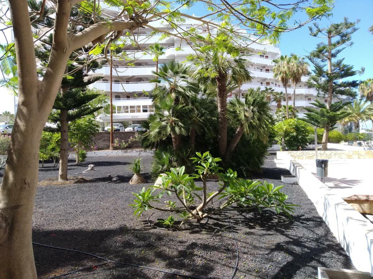 Viña del Mar Playa de las Americas (Tenerife) Exterior foto